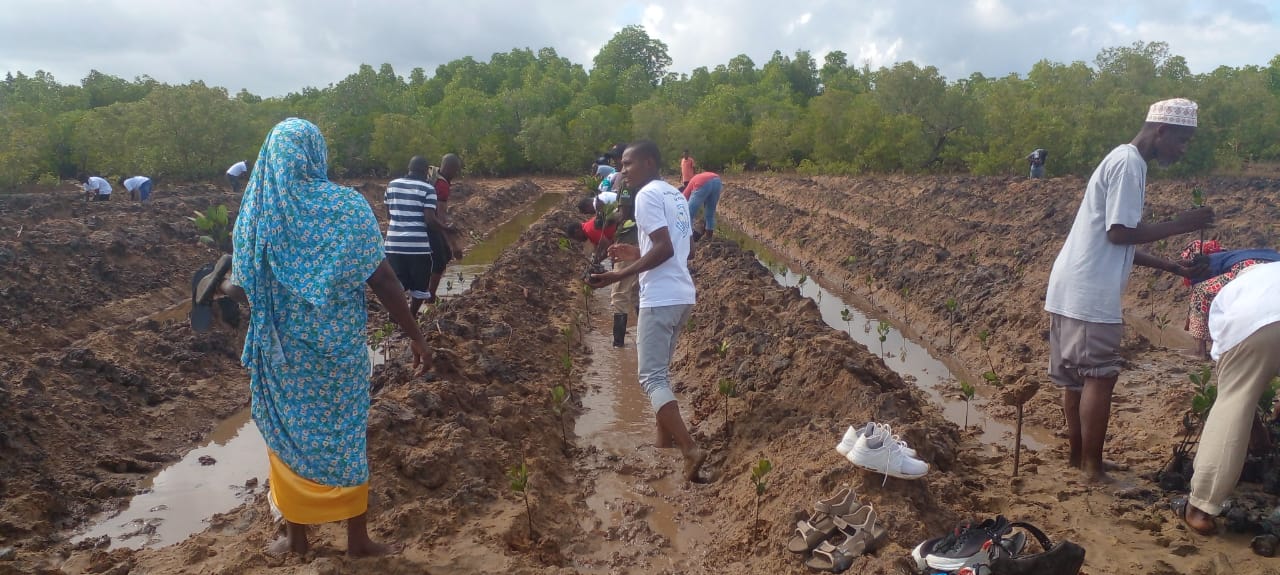 Ecosystems Conservation and Restoration