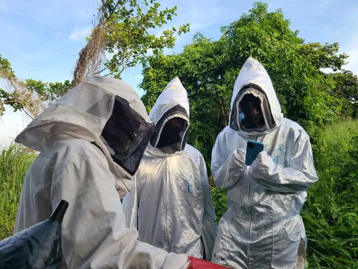 Sustainable Livelihoods and Green Entrepreneurship