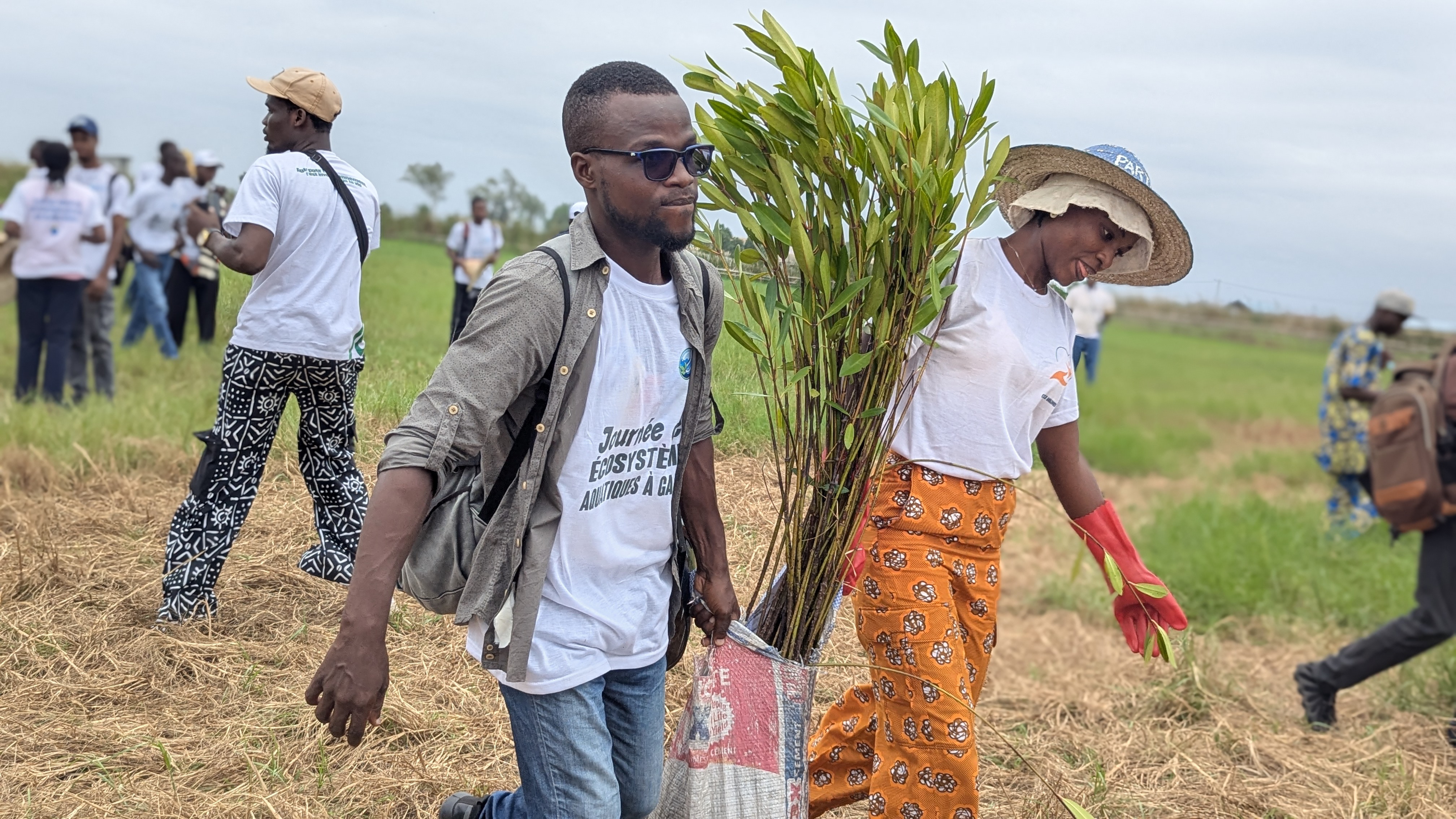 Les mangroves et leur restauration durable à Ganvié (Bénin)